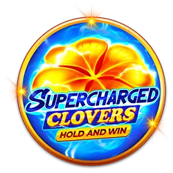 40win bet web cassino entretenimento